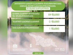 Officers of the National Forestry Agency have identified 65 cases of offenses in June this year