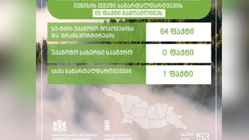 ეროვნული სატყეო სააგენტო