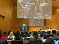 Soso Giorgadze is present at the 66th Session of the World Intellectual Property Organization (WIPO) General Assembly