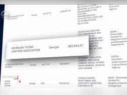 The political group of the European Parliament has published a list of organizations with which the European Commission has contracted, including Georgian Engies