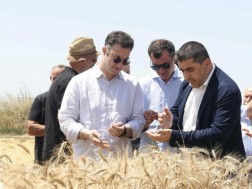 Speaker of Parliament and Minister of Environment Protection and Agriculture were introduced to the process of taking wheat in the Shirak Valley