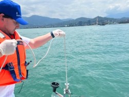 Black Sea Water Quality on the Perimeter of the Georgian coast is within the norm - National Environmental Agency