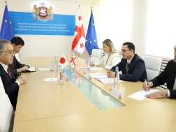 Giorgi Jincharadze met with the Ambassador Extraordinary and Plenipotentiary of Japan