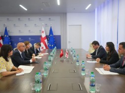 Mariam Kvrivishvili met with Turkish Ambassador to Georgia Ali Kaan Orbai