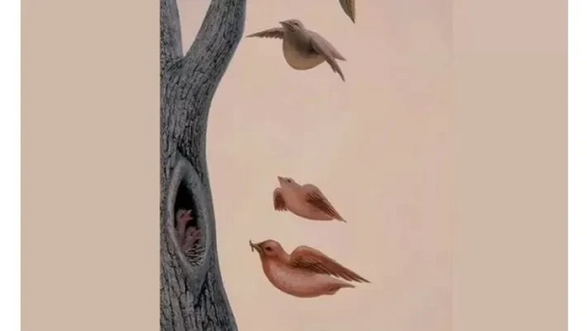 ქვიზი