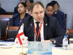 Nikoloz Samkharadze addressed the Parliamentary Assembly of the Amyan
