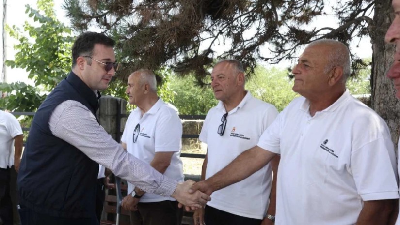 დავით სონღულაშვილი