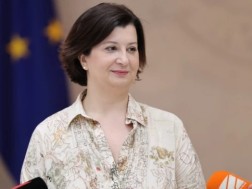 თამარ ზოდელავა მცირე გრანტების საჯარო კონკურსის პირობებსა და განაცხადის ფორმებზე: არის სტანდარტიზებული ფორმები - ეს დანართები საზოგადოებრივ ორგანიზაციებს შეუძლიათ მოიძიონ სააგენტოს ოფიციალურ გვერდზე