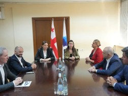 მარიამ ქვრივიშვილმა ნავთობისა და გაზის კორპორაციის თანამშრომლებს ახალი ხელმძღვანელი, ეკატერინე სისაური წარუდგინა