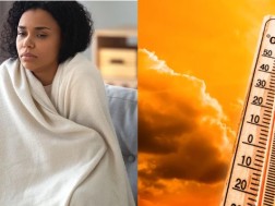 Why do we have a fever - a few possible reasons