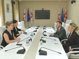 მარიამ ლაშხი დიდი ბრიტანეთის საელჩოს წარმომადგენლებს შეხვდა