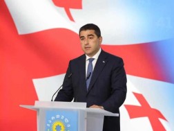 შალვა პაპუაშვილი: მნიშვნელოვანია, შვედეთის საელჩომ განმარტოს, არის თუ არა, შვედეთის პრემიერის მიერ დასახელებული ერთნაირსქესიანი ქორწინების დაკანონების მოთხოვნა, შვედეთის ოფიციალური პოზიციის ნაწილი, კანდიდატ ქვეყნებთან დაკავშირებით