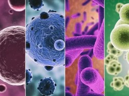 How to Avoid Intestinal Infections in Summer - A doctor's recommendation