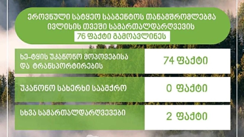 ეროვნული სატყეო სააგენტო ეროვნული სატყეო სააგენტო