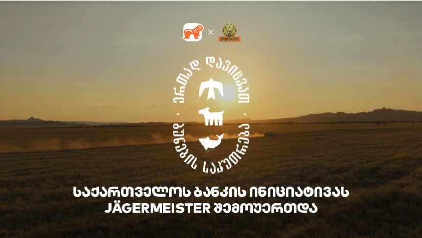 საქართველოს ბანკი