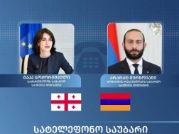 მაკა ბოჭორიშვილმა სომხეთის საგარეო საქმეთა მინისტრთან სატელეფონო საუბარი გამართა