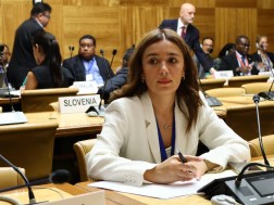 Nino Tandilashvili spoke to the Ministerial Ministerial in Geneva in Geneva