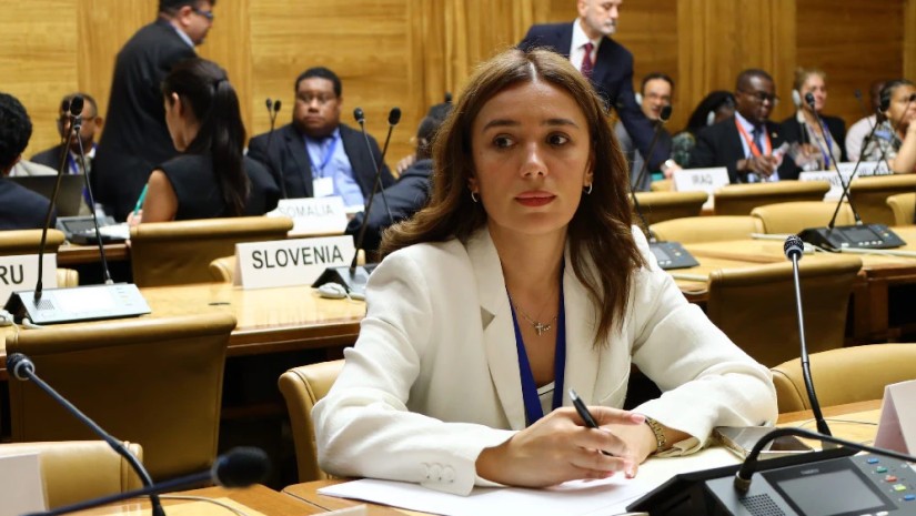 ნინო თანდილაშვილი