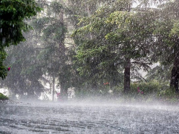 წვიმიანი ამინდი 