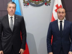 Gecka Geladze held a meeting with Ambassador Extraordinary and Plenipotentiary of Azerbaijan in Georgia