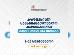 პროფესიულ საგანმანათლებლო პროგრამებზე რეგისტრაცია იწყება