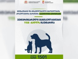 Within the framework of the Pilot Program for Homeless and Medicare Animal Populations, from July 29 to August 24, 1158 dogs were taken to Adjara, Imereti, Kakheti regions and were transferred to shelters