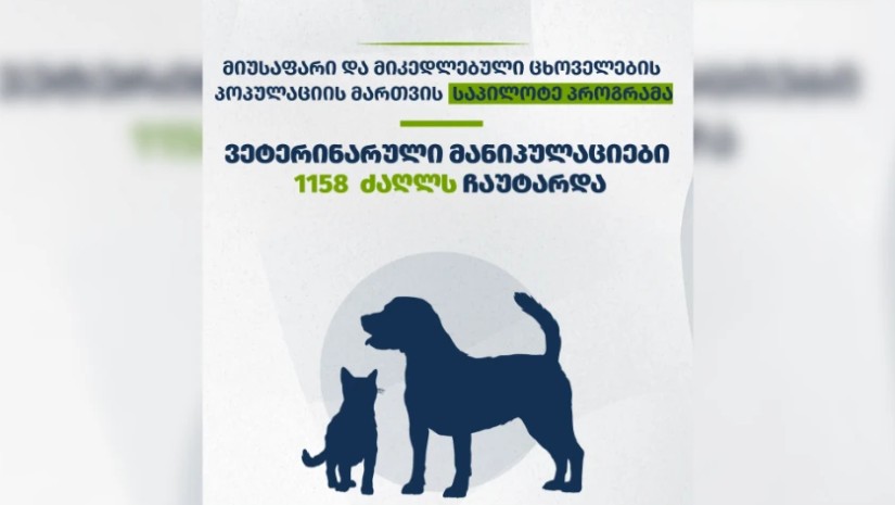 მიუსაფარი და მიკედლებული ცხოველები
