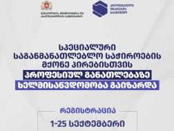 Access to vocational education for people with special educational needs has increased
