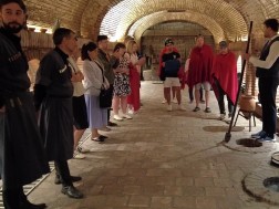 With the financial support of the National Wine Agency, a wine tour was carried out in Georgia