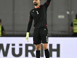 მამარდა