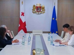 Tea Akhvlediani held a meeting with the Head of the Delegation of the International Red Cross Committee and the Special Representative of the International Committee of the Red Cross