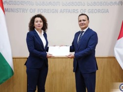 საქართველოში უნგრეთის ახლად დანიშნულმა ელჩმა, პეტრა პონევაჩ-პანამ დიპლომატიური პროტოკოლის დირექტორატის ხელმძღვანელს რწმუნებათა სიგელების ასლი გადასცა