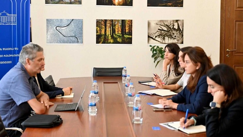 შეხვედრა მაია ბითაძე