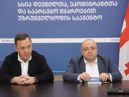 დევნილთა, ეკომიგრანტთა და საარსებო წყაროებით უზრუნველყოფის სააგენტოს დავით კაიკაციშვილი უხელმძღვანელებს