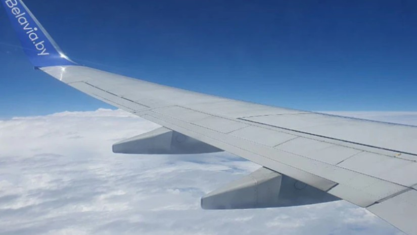ბელავია