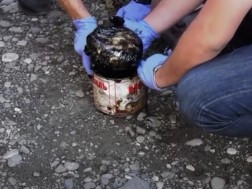 The case of bringing explosives from Ukraine to Georgia - the Georgian Dream says that Georgia has avoided the terrorist attack