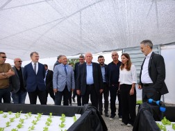 Within the framework of the visit to Georgia, the Israeli Minister of Agriculture inspected a greenhouse equipped with modern technology in Tsilkani