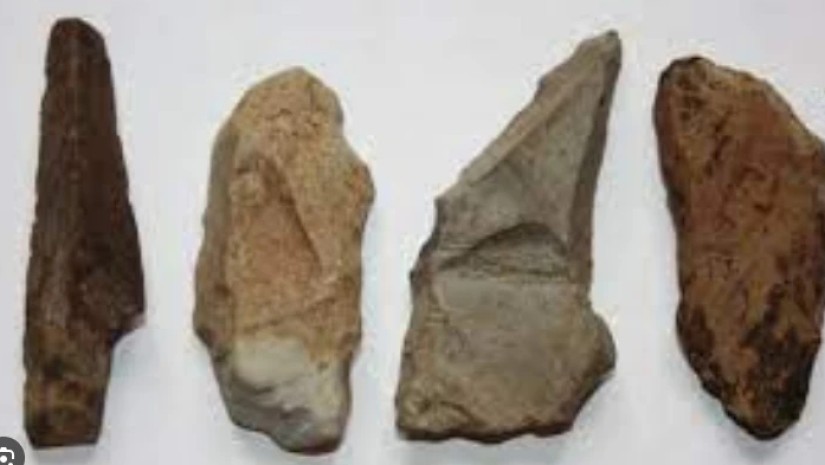 კვლევა