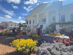 Sports, Cognitive and Entertainment Activities, Wine and Gastronomic Festival-First Day of Tbilisoba 2025, but the holiday will continue tomorrow.