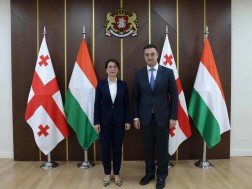 David Songulashvili met with Hungarian Ambassador
