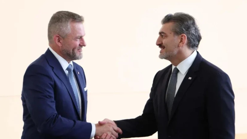 მიხეილ ყაველაშვილი პეტერ პელეგრინი