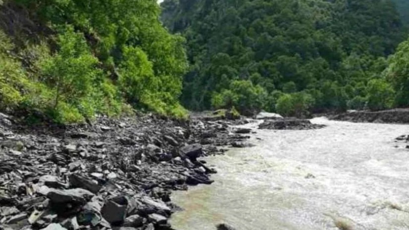 გზების დეპარტამენტი