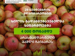 As of today, 13 fruit processing enterprises involved in the state program have delivered up to 4,000 tonnes of non -standard apples