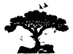 ოპტიკური ილუზია