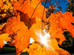 შემოდგომის ამინდი