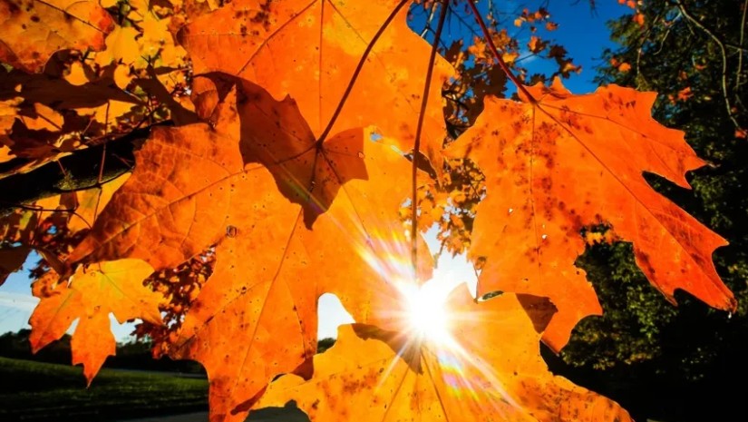 შემოდგომის ამინდი