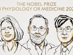 Nobel Prize is awarded to one of the mechanisms of the mechanism of immune system regulation in physiology and medicine