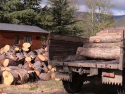 Officers of the Imereti Forestry Service have identified illegal extraction and transportation of timber near the village of Gordi