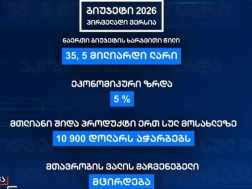 The draft law and materials on the State Budget of 2026 in the Parliamentary Committees, factions and parliamentary groups began