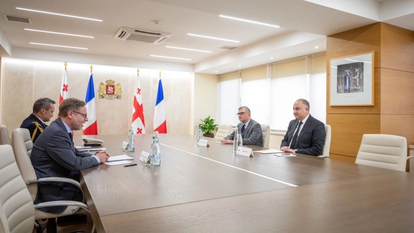 ირაკლი ჩიქოვანი საფრანგეთის ახლად დანიშნულ ელჩს შეხვდა